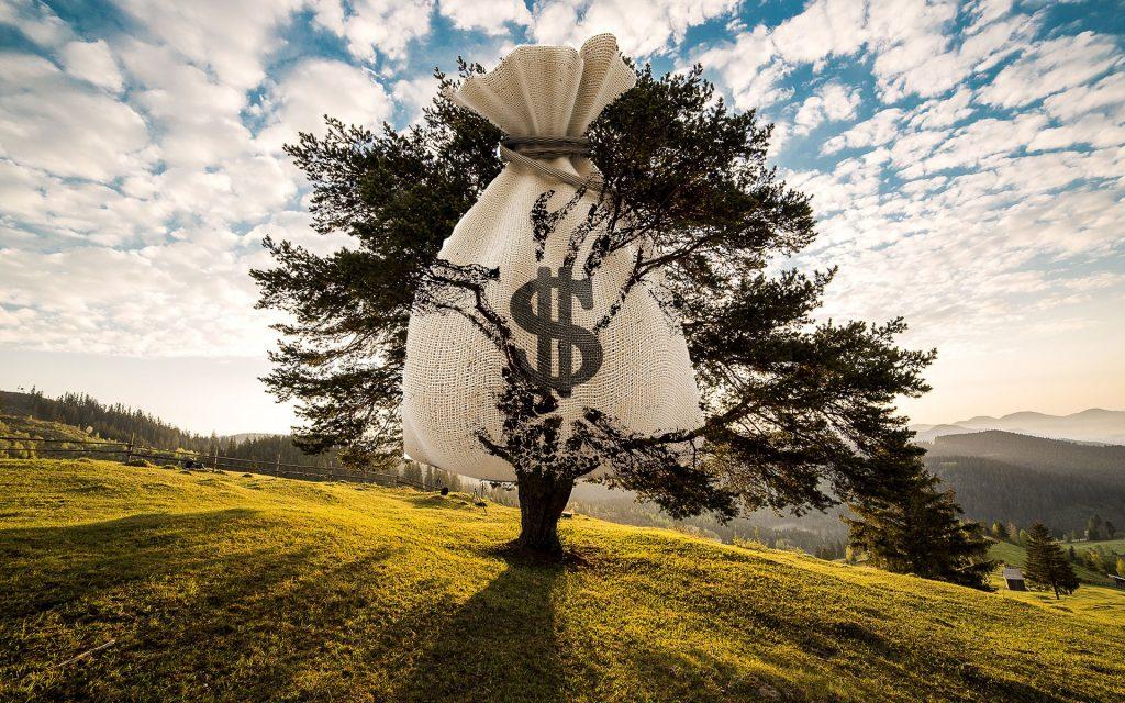 Public Banking Vs Private Capital Markets