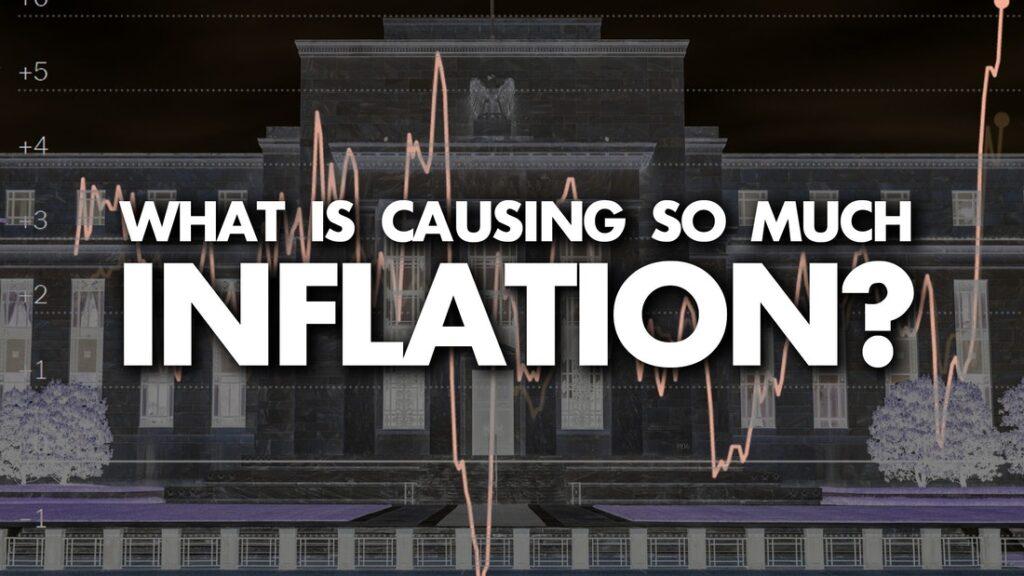 Moderate Rebels: What Is Causing So Much Inflation?